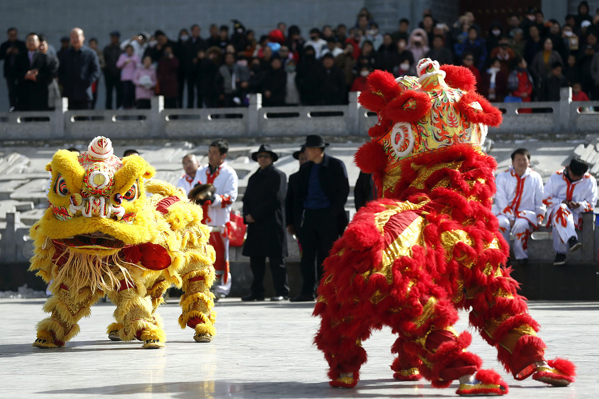 南宁舞狮表演158x8491x7692开业舞狮婚礼舞狮乔迁舞狮梅花桩舞狮生日
