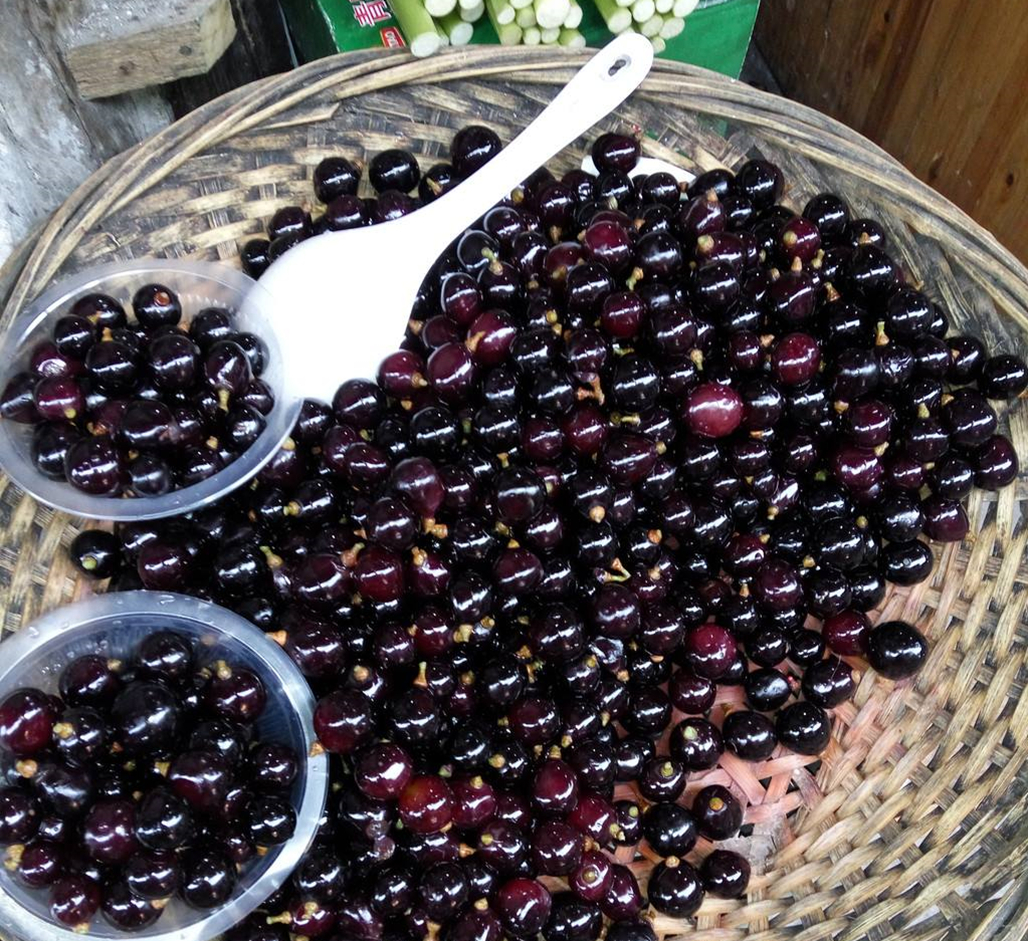 这些店家会很热情的招呼游客品尝一下"乌梅",并无所谓的说买不买都没