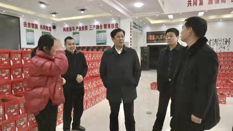 大冶市人大常委会主任刘会金慰问专家人才,困难党员