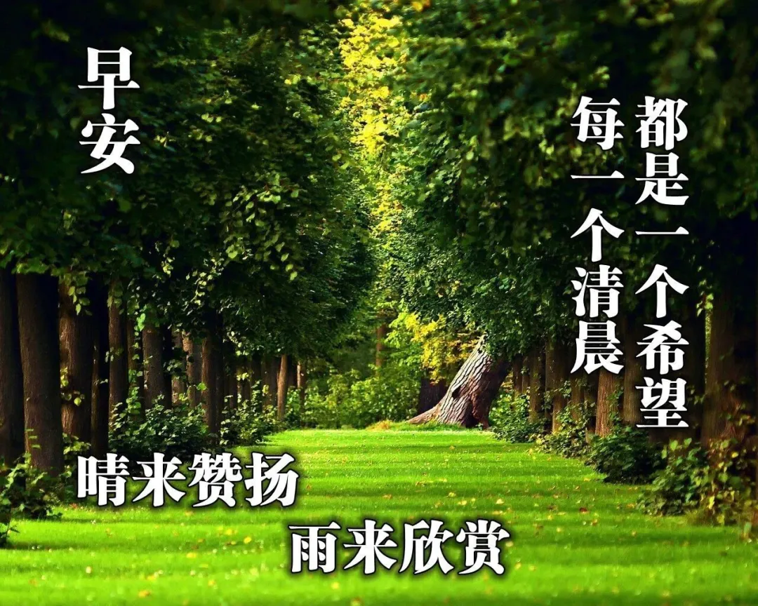初夏清晨早上好问候美图,每天把最暖心祝福送给你