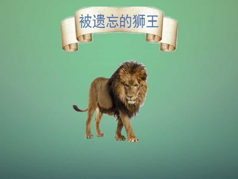 开普狮:是近代灭绝的狮子亚种,又称为好望角狮,大自然,环球自然,好看视频