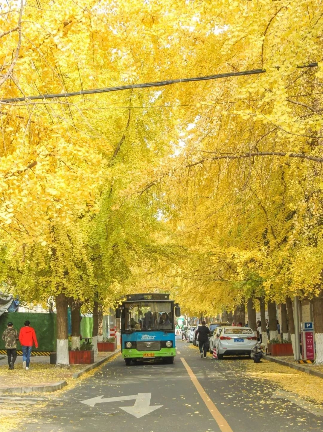 在成都住在白果林最幸福