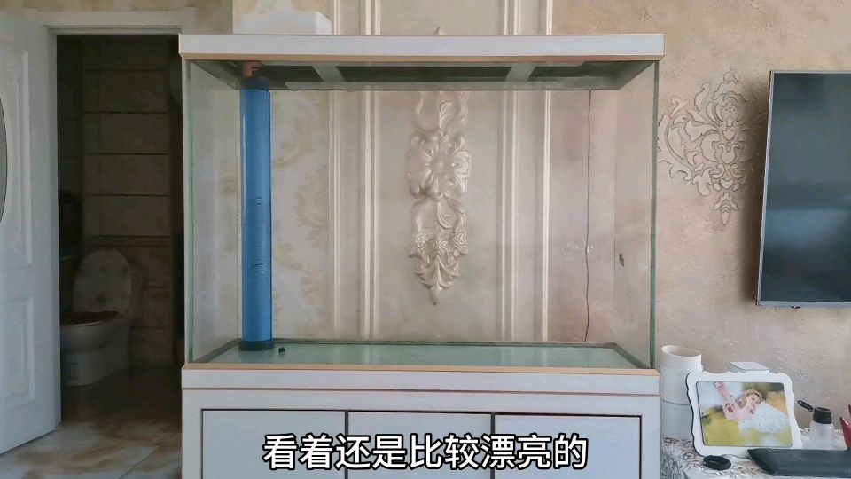 为了搞繁殖,准备把大鱼缸卖了,换成一组成品组缸
