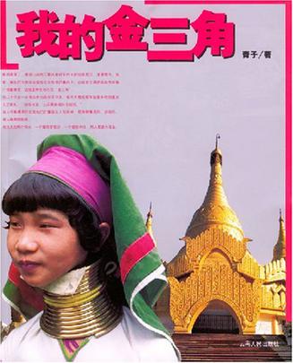 青子经典作品推荐,《我的金三角》最受读者欢迎