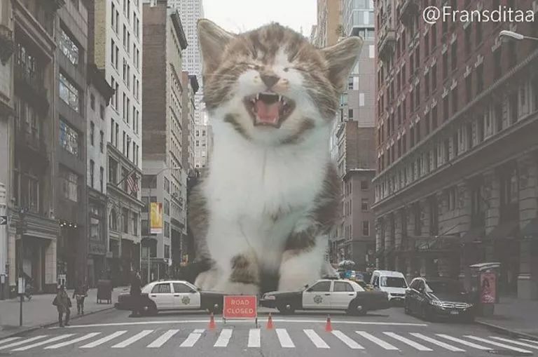 当巨型猫咪融入了整个城市