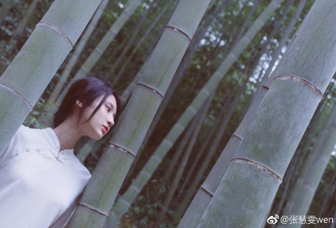 张慧雯白衣飘飘化身竹林仙女,网友:新一代神仙姐姐出现了