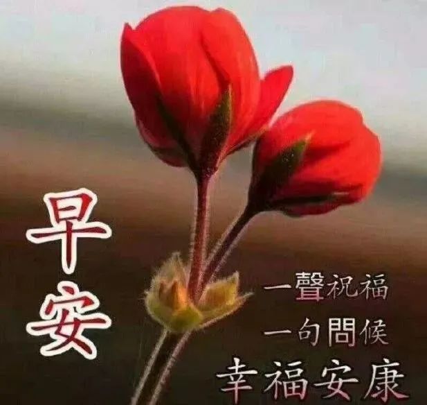 2020最新漂亮早上好问候图片带字温馨 最美早安问候图片