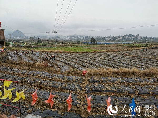 独山县乡镇图片