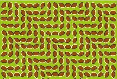 趣味测试:哪张图片最让你受不了,测试你的心理健康程度