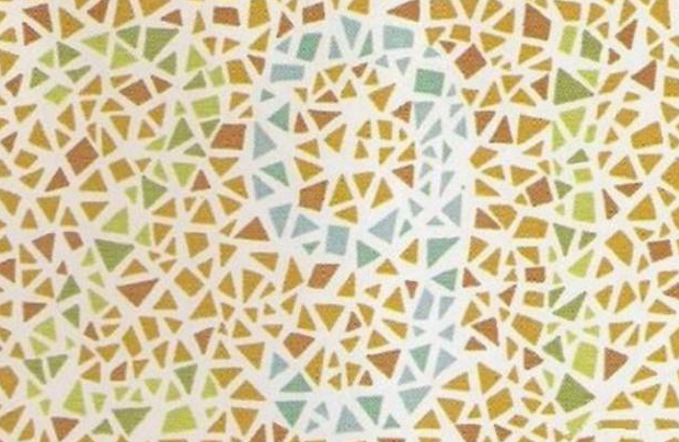 色盲测试:如果你看不到图中的山羊,说明你就是色盲,不准都不行