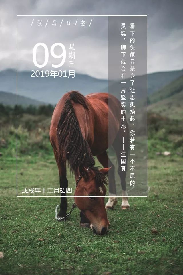 「馭馬日籤」垂下的頭顱只是為了讓思想揚起,你若有一個不屈的靈魂