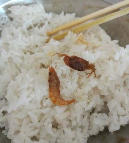 幽默笑话:原来唯美的婚纱照都是这样弄出来的啊!辛苦摄影师了