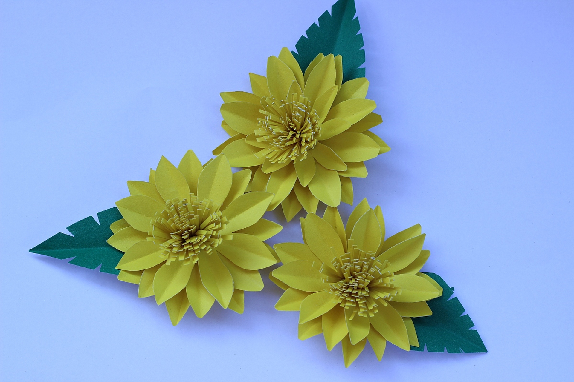 知识创作挑战赛# 今天,就给大家带来一个简单又有趣的皱纹纸向日葵