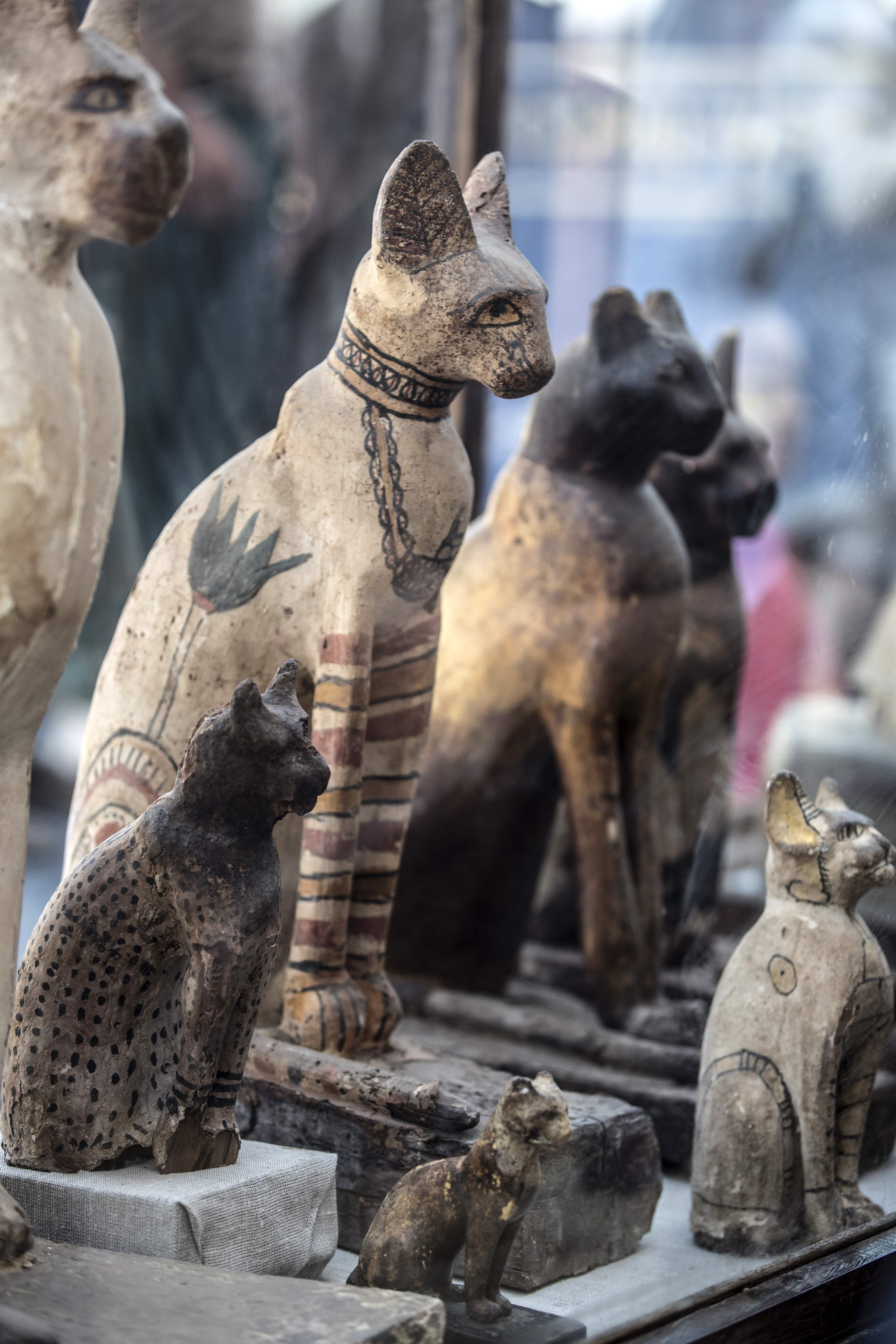 埃及塞加拉发现数十具距今约2700年的动物木乃伊(2)