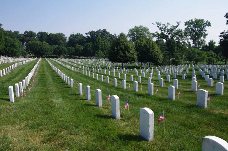 令- 优质问答专区