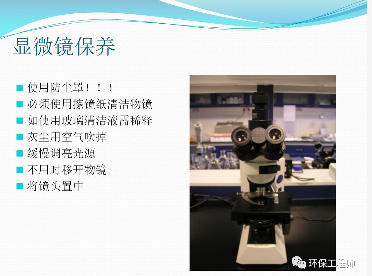 ppt|微生物镜检技术培训