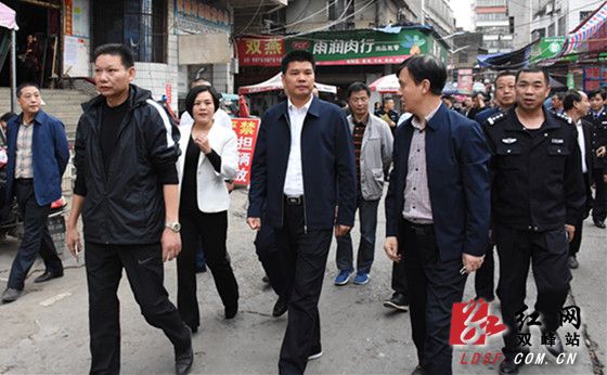 双峰县委书记禹敏调研生态环保及省卫复查工作