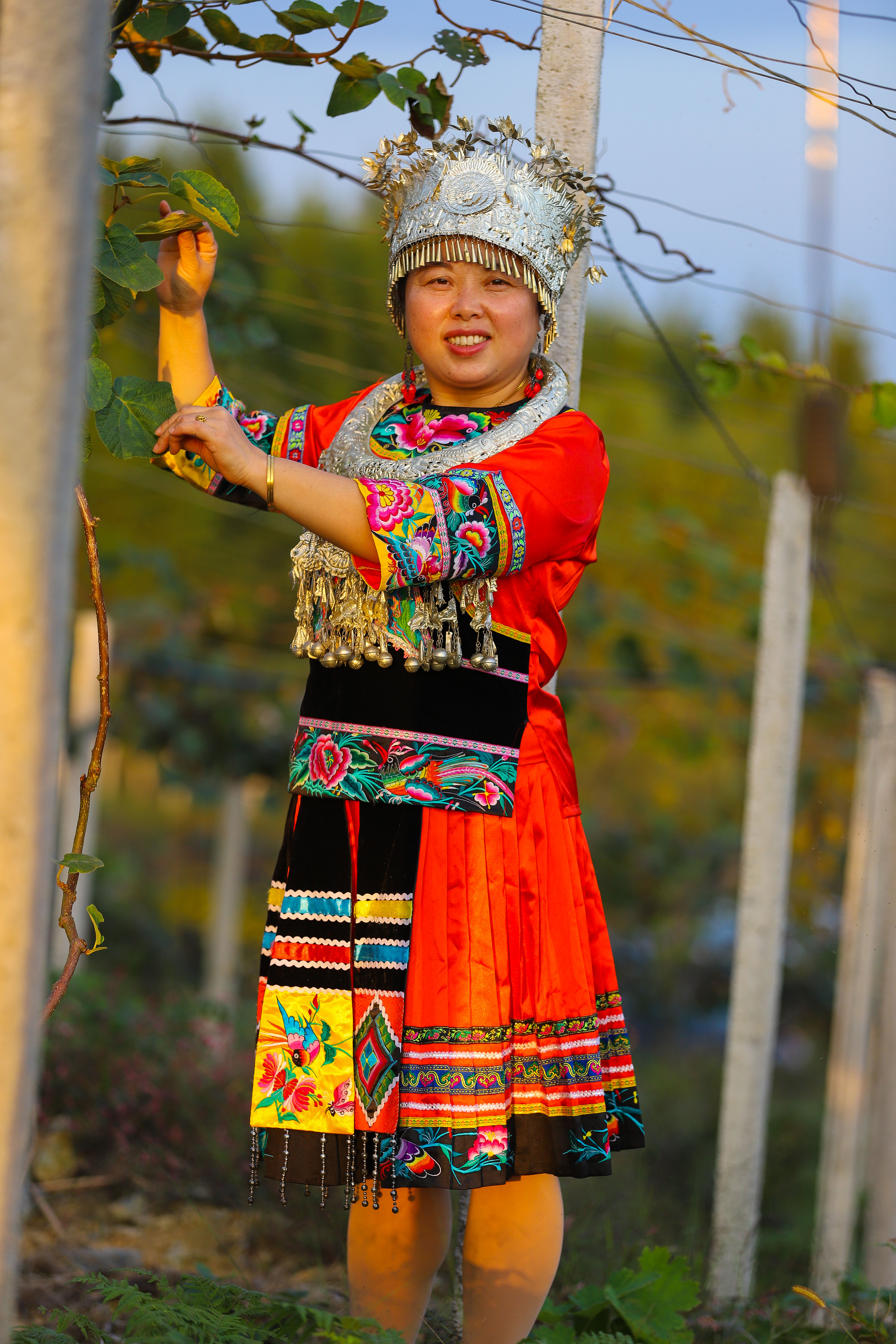 春花秋实正当时,怀化秋色如画,附水果采摘指南