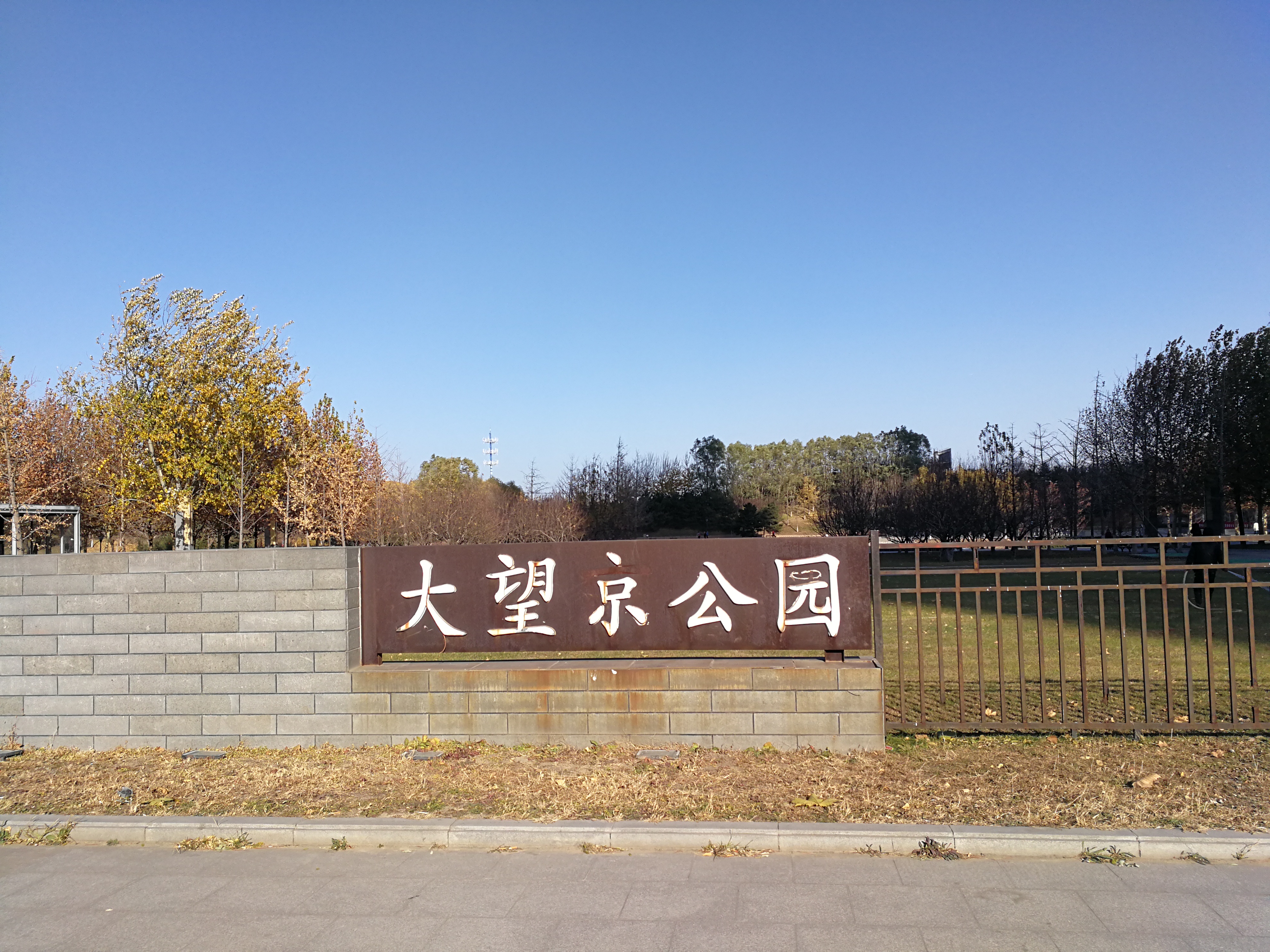 你去过北京大望京公园吗?它的红叶和金黄色的树叶不逊