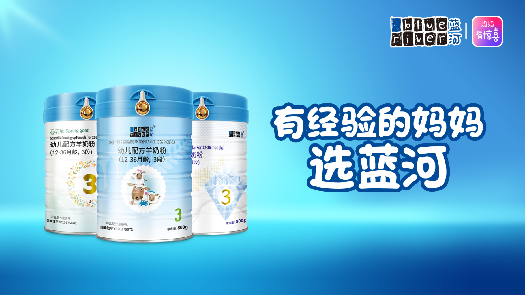 蓝河乳业:整合全球资源,致力做领先的绵羊奶粉品牌商