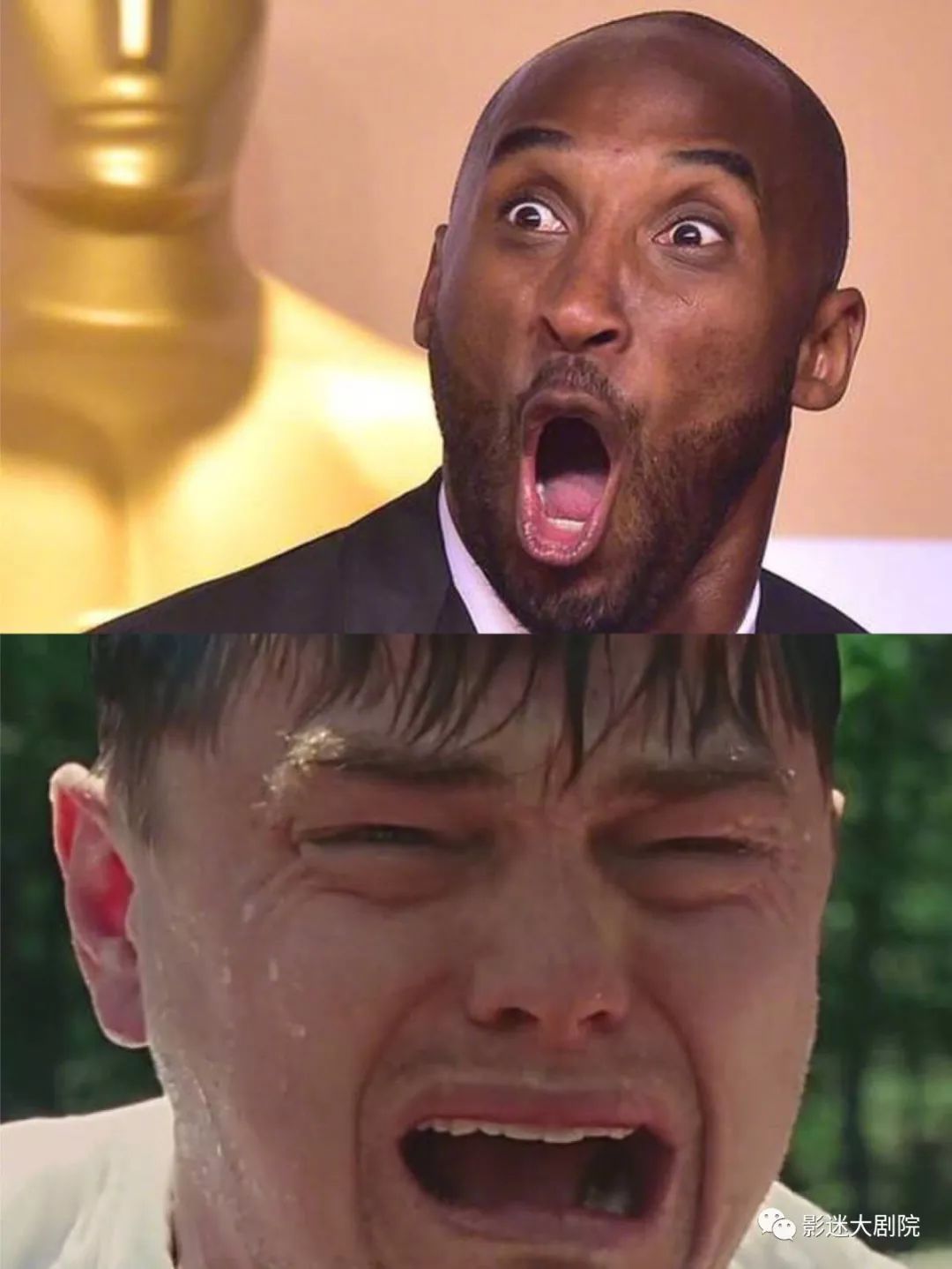 这个篮球巨星得了个奥斯卡奖,小李子能哭瞎