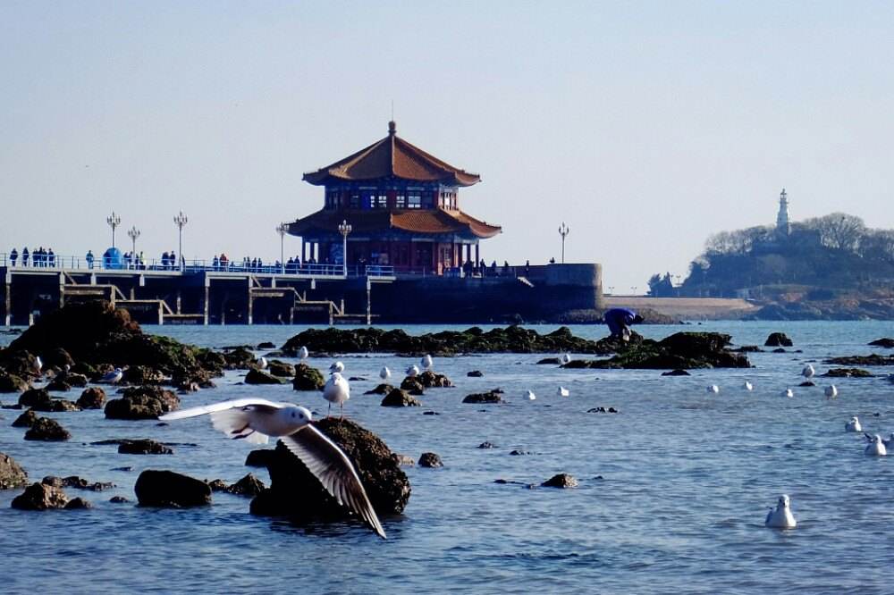 屹立在碧海蓝天之间,青岛的美景因它锦上添花,流连忘返的栈桥旅