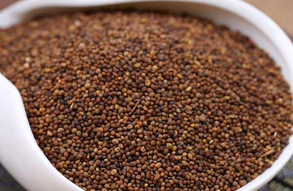 男人补肾中药配方大全,8种最好的补肾中药