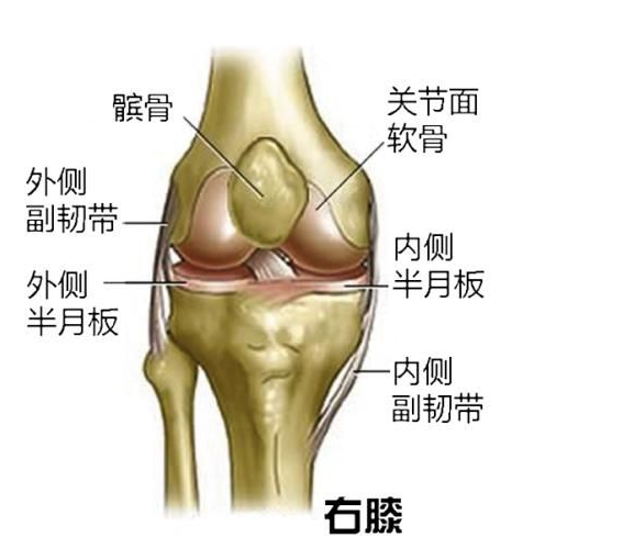 中藥獨家的治療半月板損傷小秘方,損傷關節炎3天快速祛除!簡單