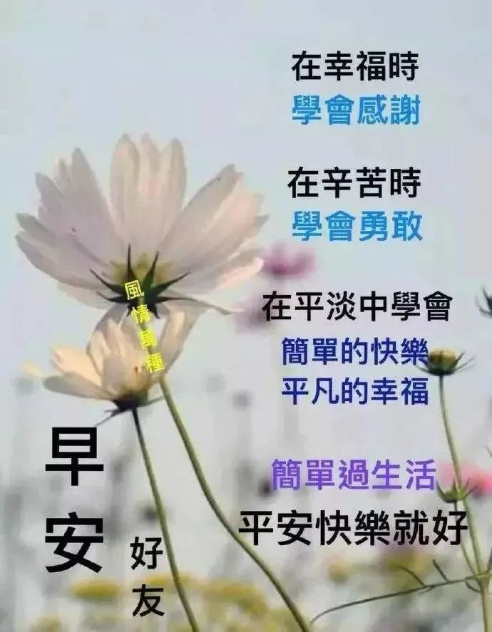 精美的早上问候表情图片大全 微信群早上正能量语录图片
