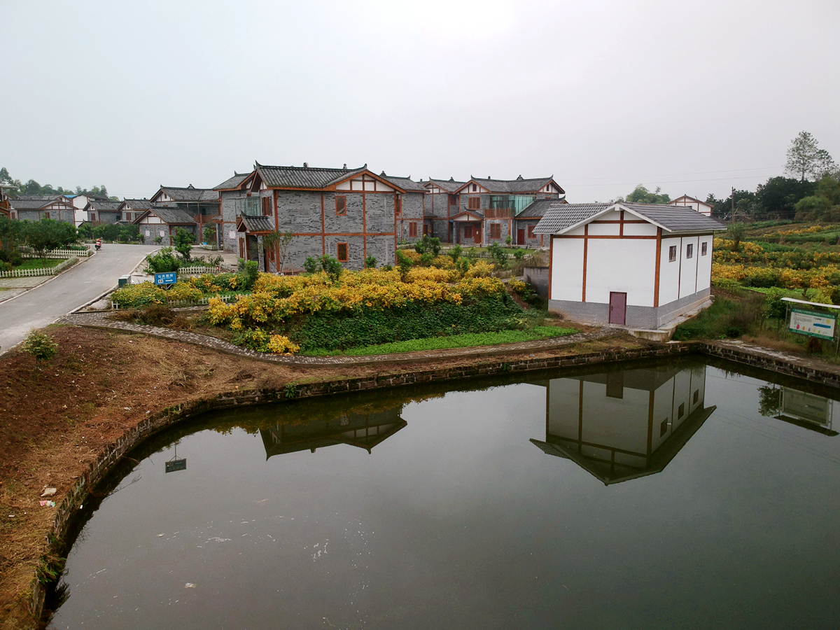 四川广安:道路,村舍,池塘,田园构成川东新农村的自然风景