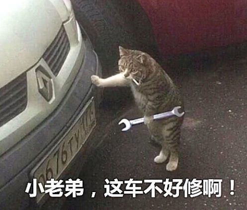 主人车坏了