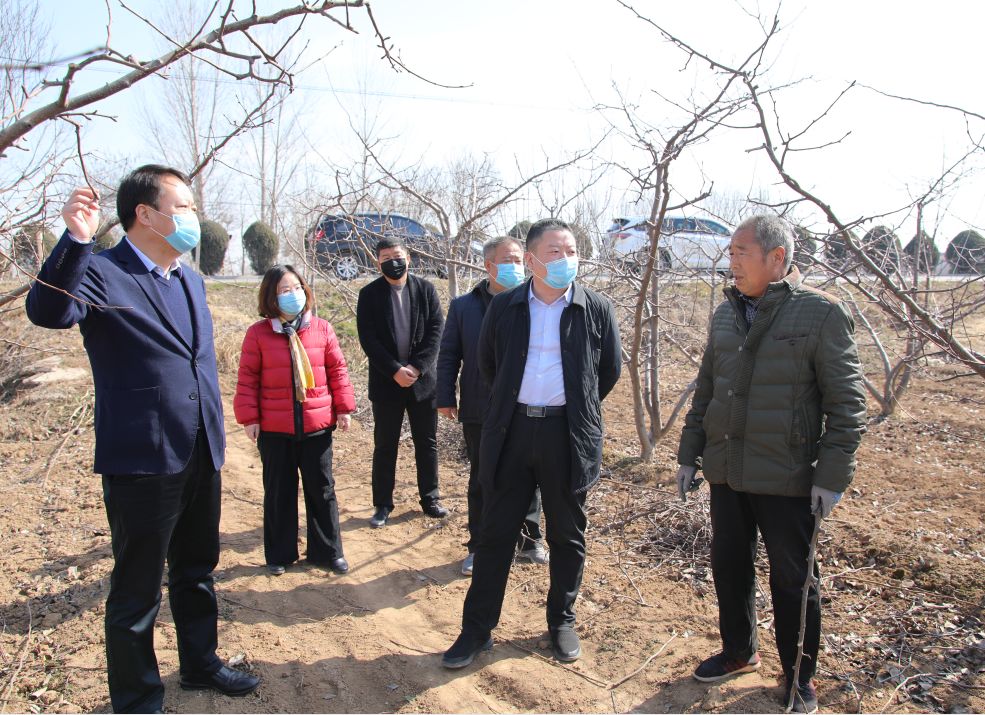 尚国桦主持召开北相镇小城镇建设工作会议