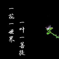 同情和心疼是一样的么
