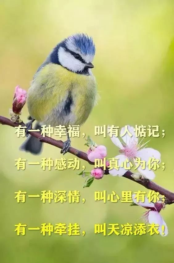 清晨最暖心的早上好問候語句,朋友圈早安祝福文字動態圖片!