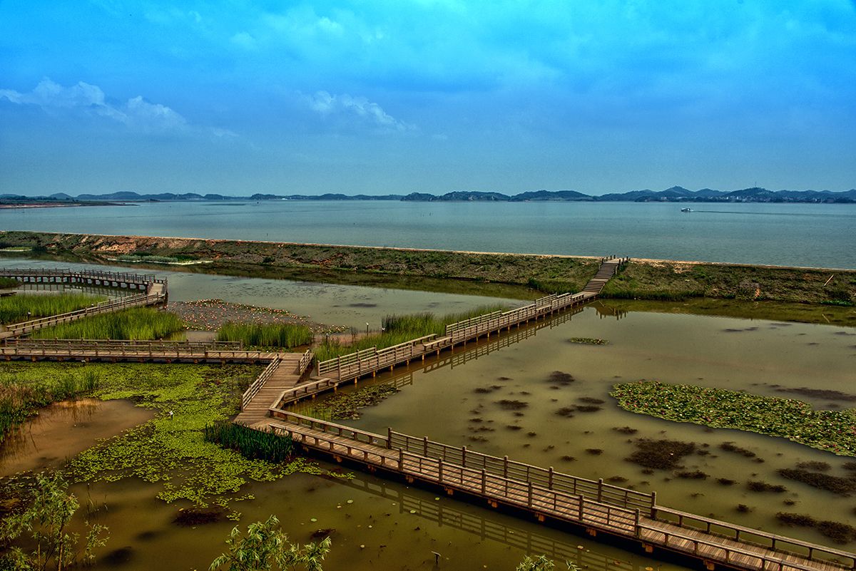 江西很受欢迎的一处公园,是世界六大湿地之一,湿地面积亚洲最大