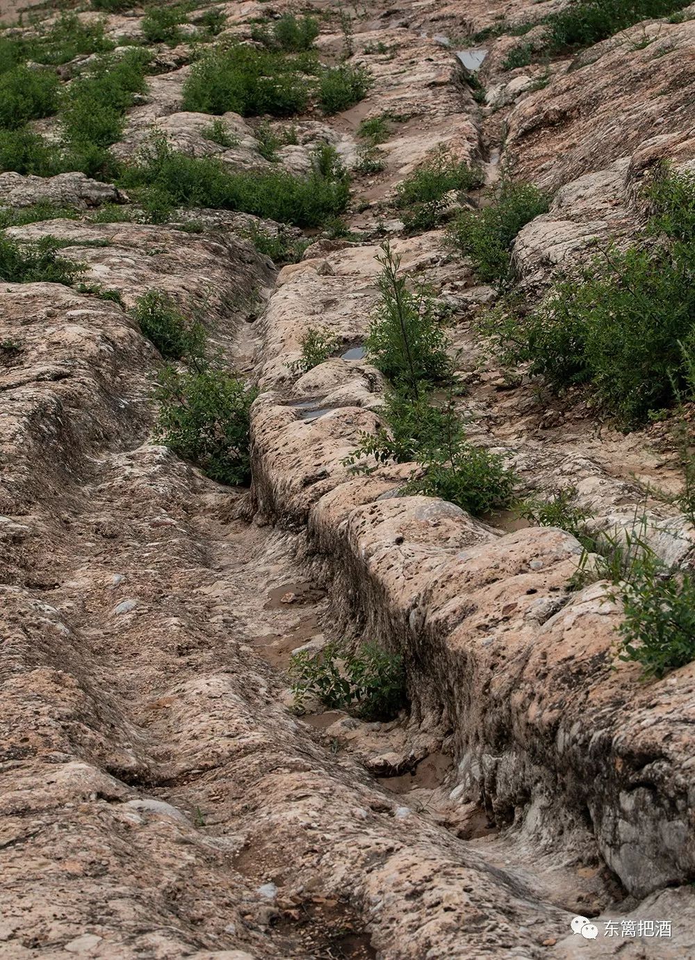 游古丝绸之路——崤函古道石壕段