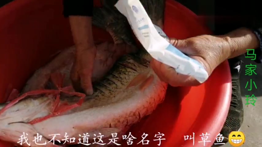 腌腊货季节到了,小玲家买了2条大草鱼,腌好晒好过年吃年年有鱼