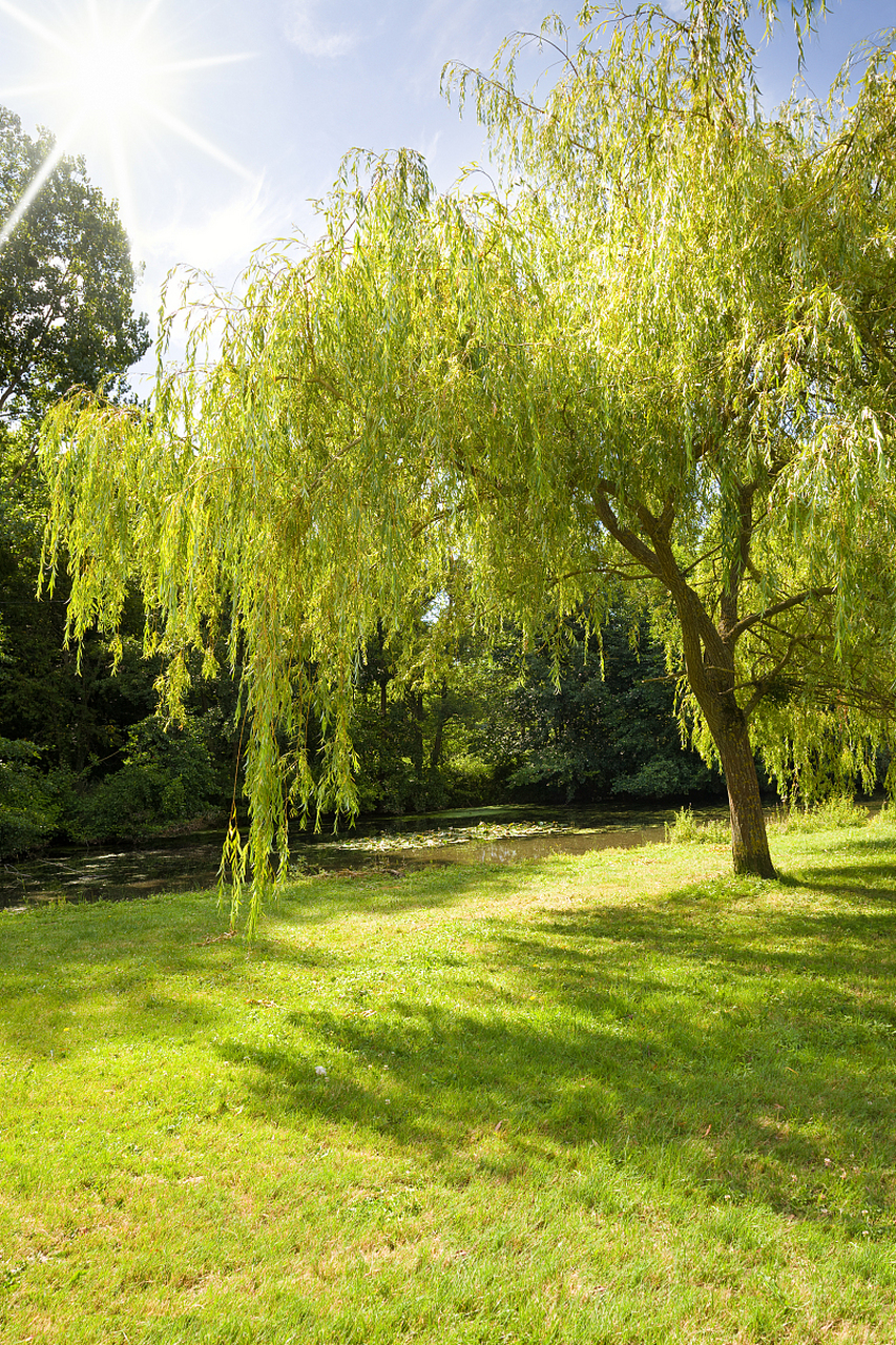 春水绿如蓝,芳草碧连天,春天回到大地,生机勃发.
