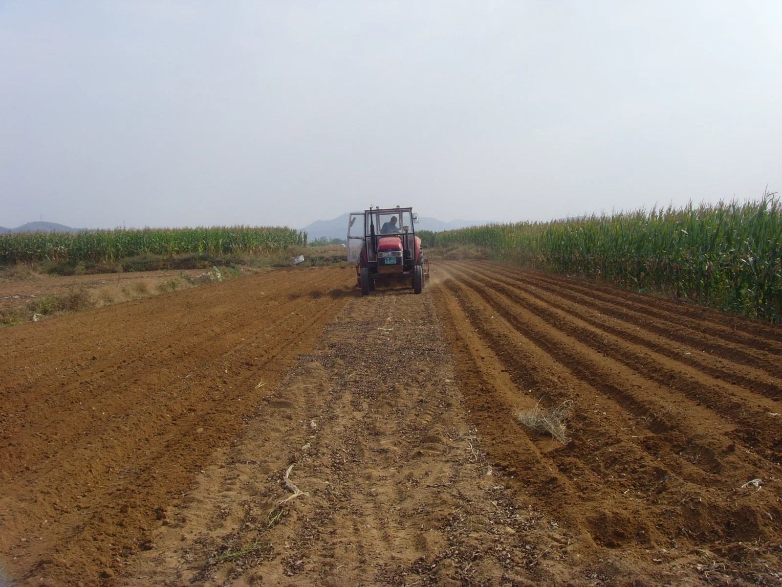 种小麦 - 优质问答专区