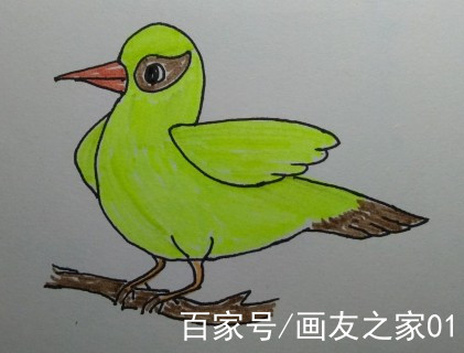 免費學畫畫:手把手教你怎麼畫黃鸝鳥