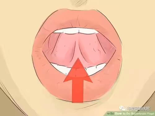 舌抵上腭的正确位置图片