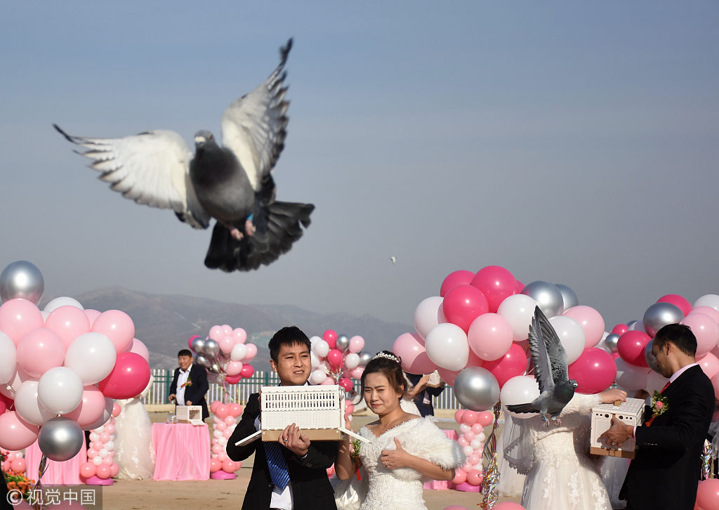2018年12月28日,河北邢台,新人在集体婚礼现场放飞和平鸽.