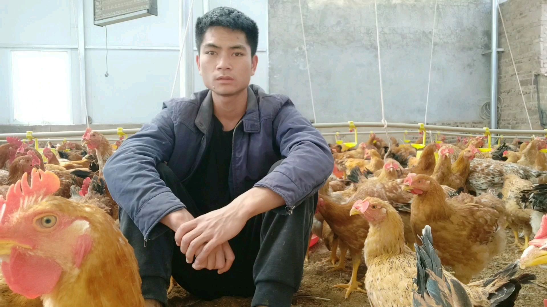 想要养鸡或者准备养鸡的朋友可以看看鸡常用的三种饮水器