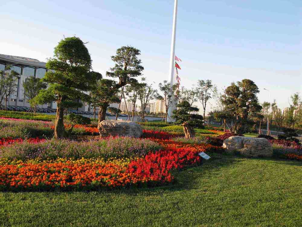 张家界黄石寨,武汉青龙山森林公园……细数那些植被茂