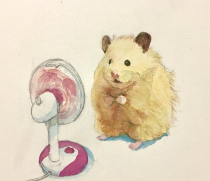 金丝熊太可爱了,主人就把它画下来了!