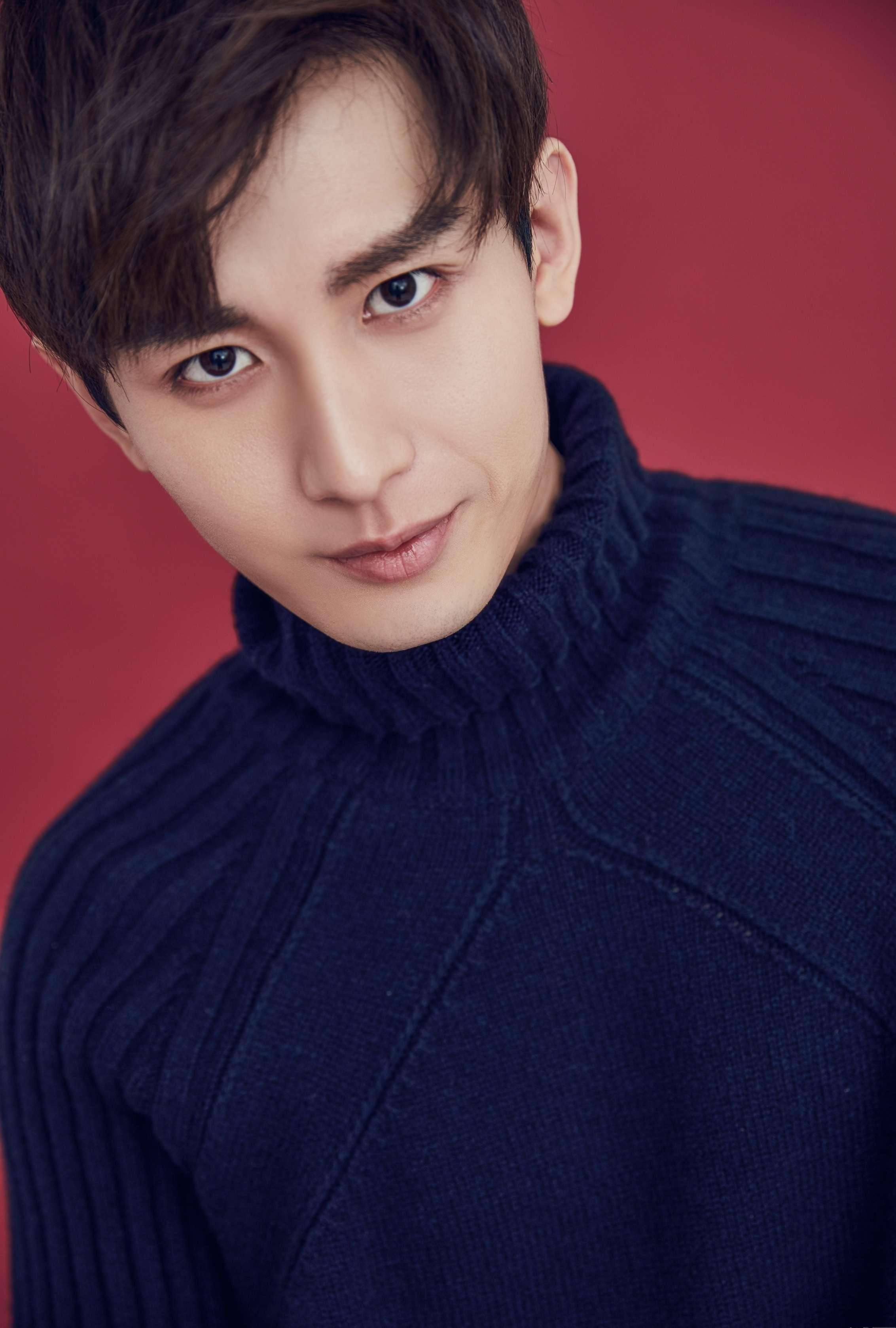 中国内地新晋男演员成毅