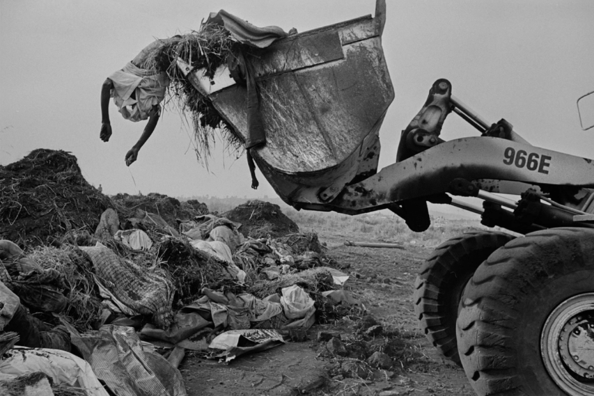 《地球之盐》:天灾尚可存活,若再加上人为,还有机会存活吗