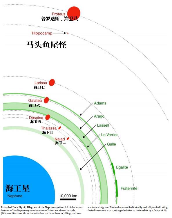 海王星最小卫星被命名为马头鱼尾怪