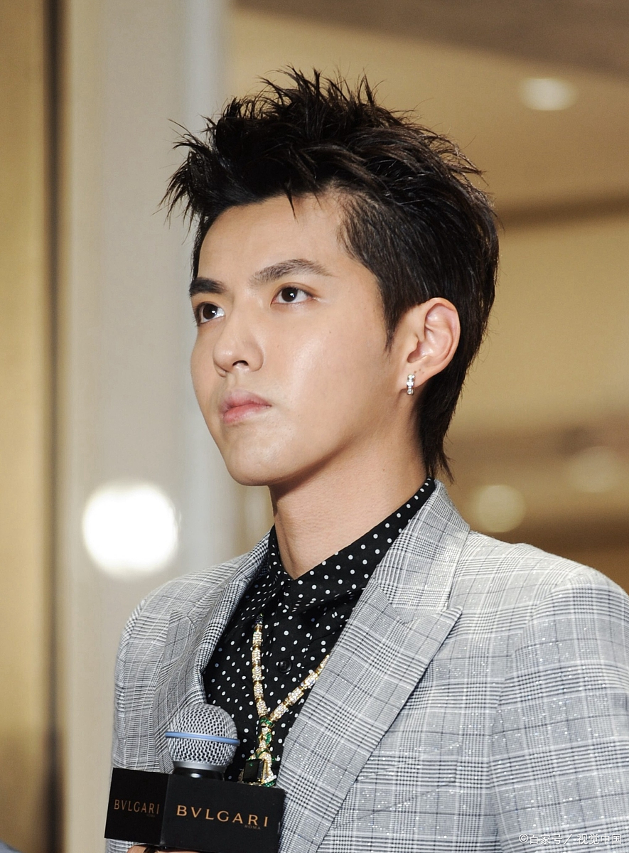 吴亦凡:一个严重违反法律的外国籍垃圾,本来被判了13年连带驱逐出境