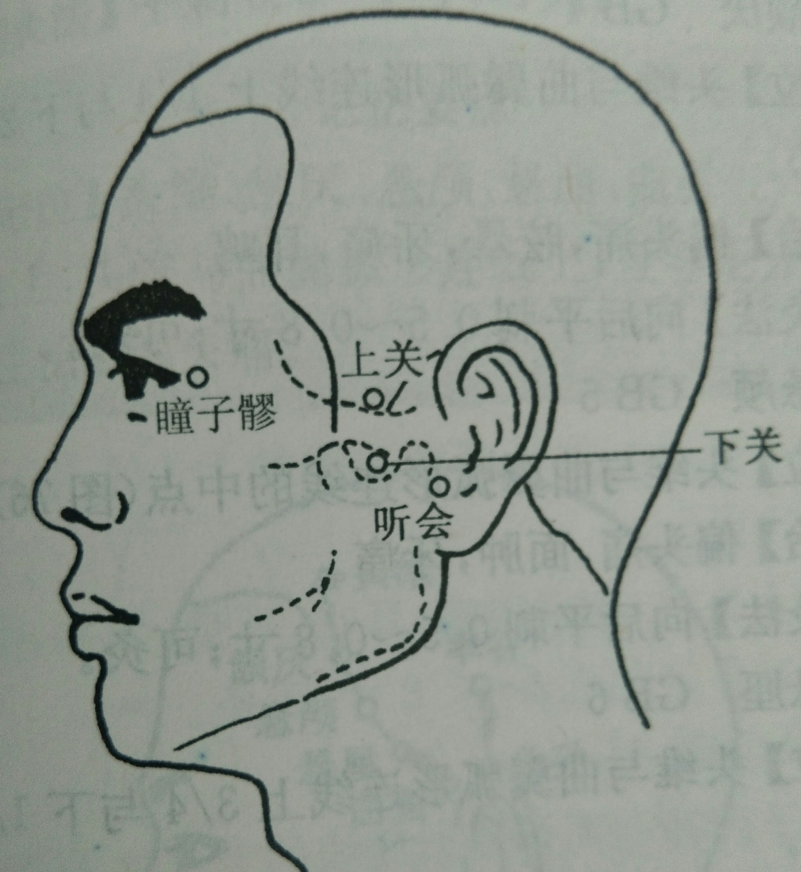 颞部经络保健,经络调理小技巧